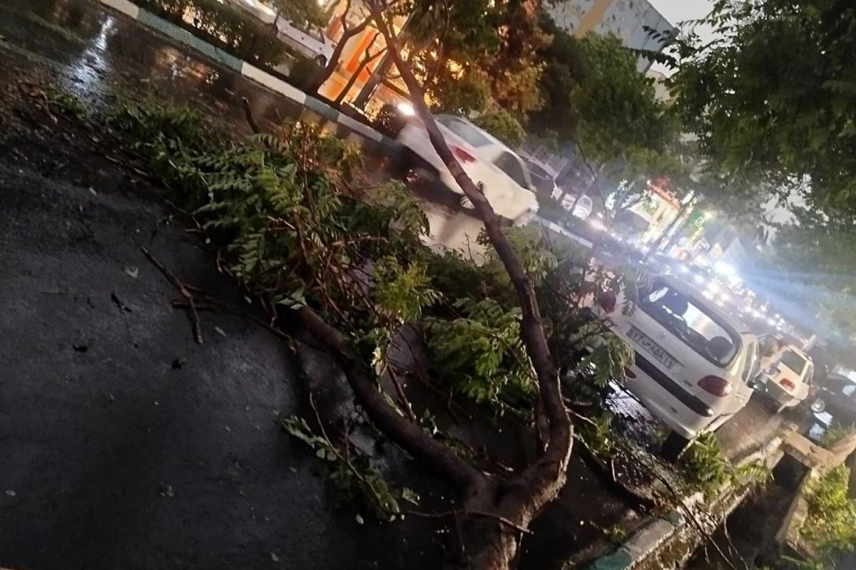 طوفان شب گذشته در استان تهران چند مصدوم برجاي گذاشت؟